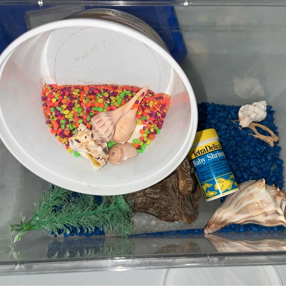 HOST PICK - Fish Tank Aquarium with Accessories